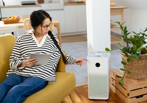 Optimizing Air Quality in Dusty Homes: The Combined Power of Air Purifiers and Attic Insulation